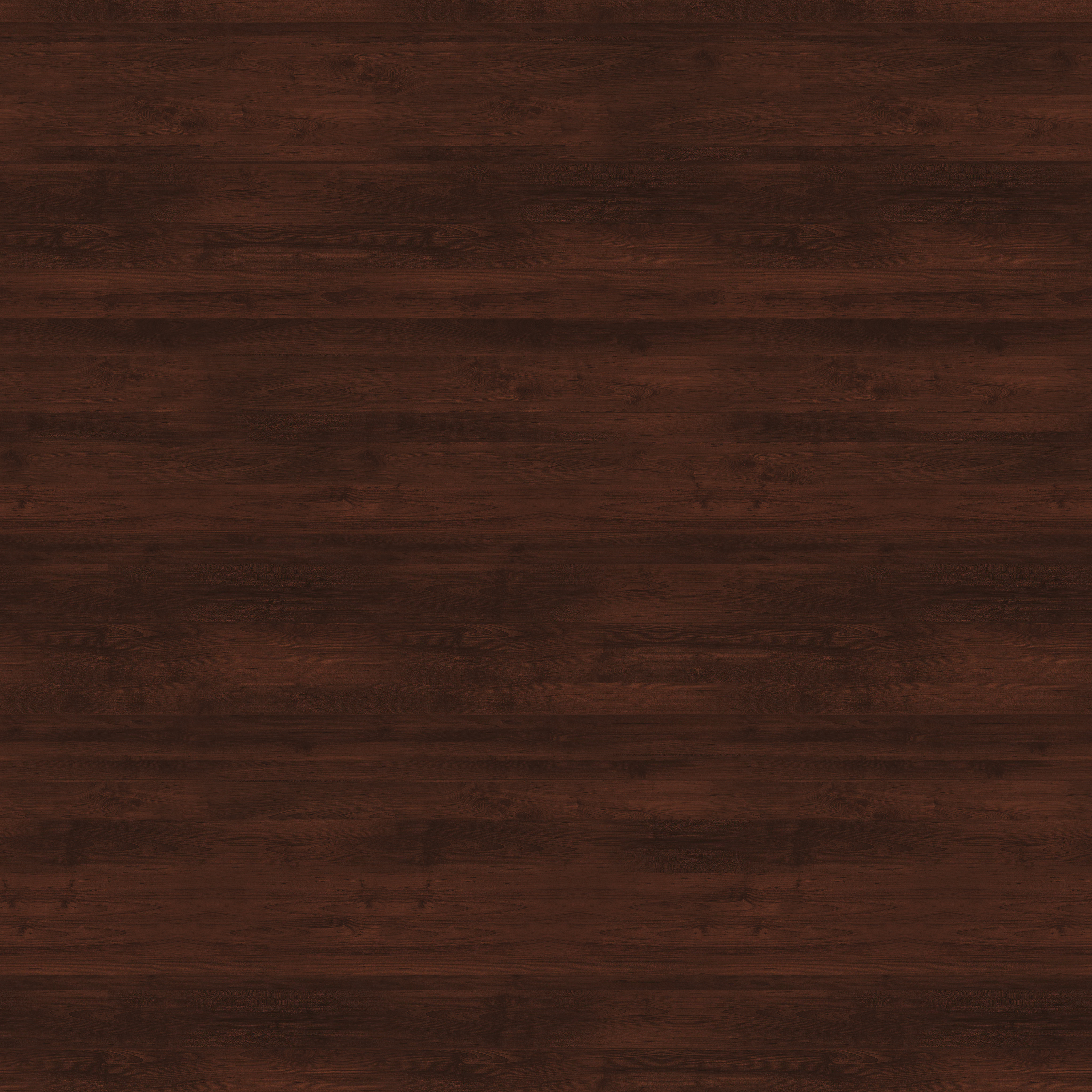 Dark Wood